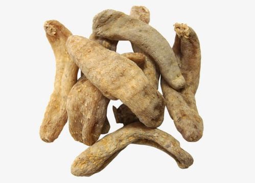 天麻不能和什么一起吃