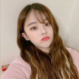杏雨梨云
