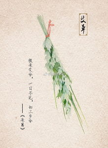关于植物的现代诗?