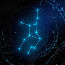 八月初八是什么星座
