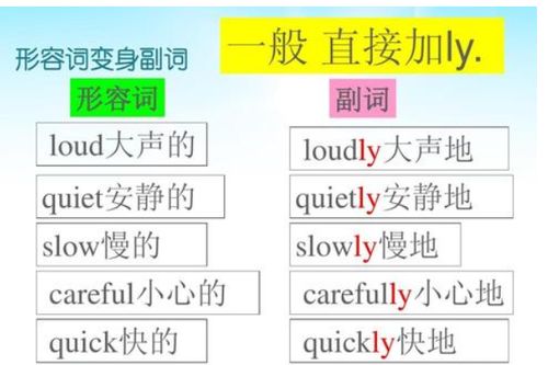 副词修饰什么
