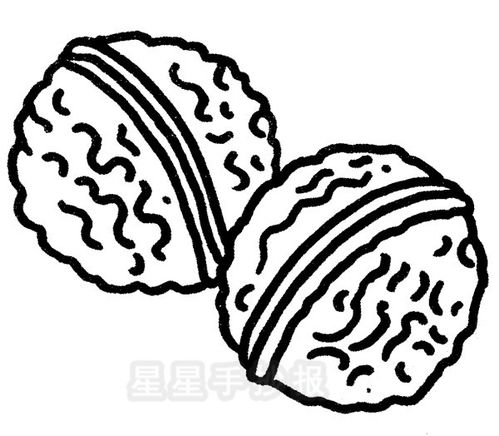吃榴莲不能和什么水果一起吃