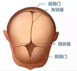 卤门是指哪个位置
