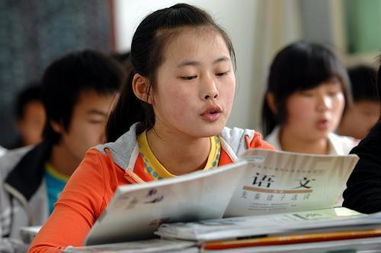 学好语文的六种技巧方法