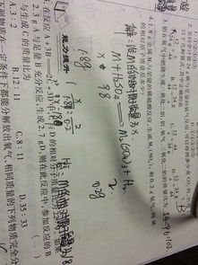 硫酸的相对分子质量
