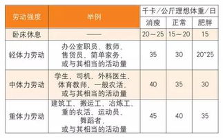 人每天至少需要多少热量?