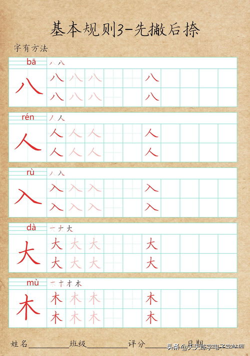 张的笔画顺序