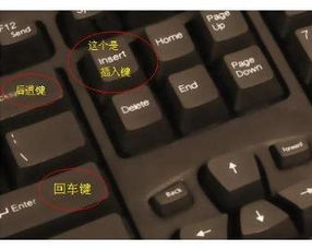 笔记本insert键在哪