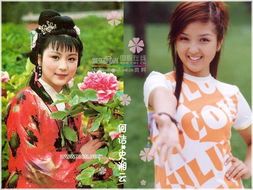 前几年 由超级女声主演的那个电视剧叫什么名字啊?