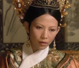 甄嬛的孩子
