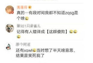 szd什么意思饭圈用语
