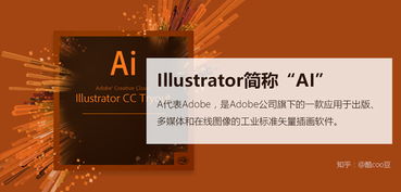 ai软件全称
