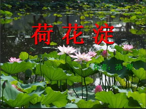 《荷花淀》作者是谁