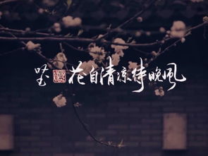 晚风的含义是什么?