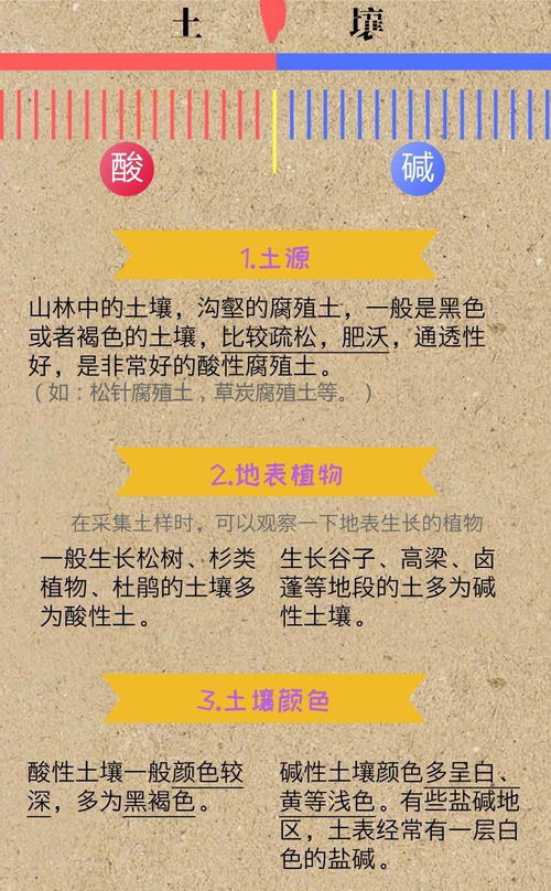 强酸弱碱盐
