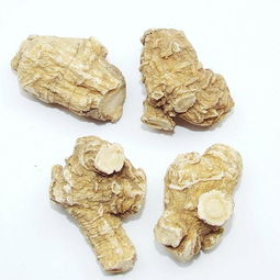 西洋参的主要功效与作用有哪些