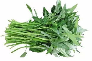 蕹菜怎么读
