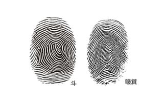 八个斗什么意思