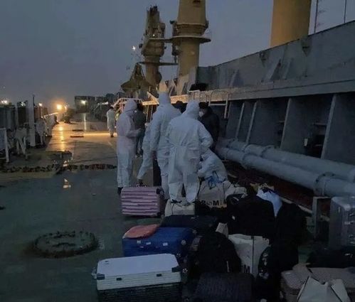 船公司提单特点例如:高丽KMTC外运SNL2QDJL威兰德WIN