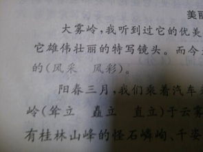 风采的意思
