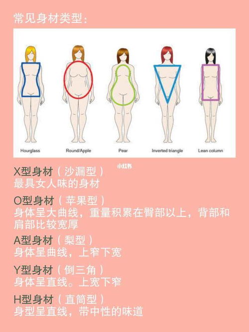 测试身材属于什么型
