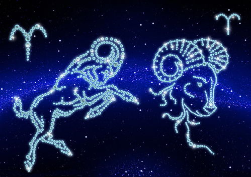白羊座是什么象星座