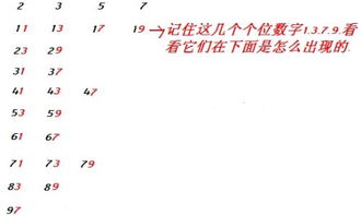 什么叫做质数
