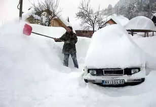 2008大雪灾的原因是什么?