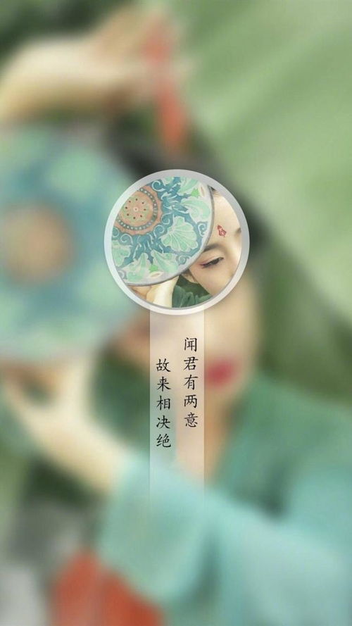 闻君有两意,故来相决绝.全诗