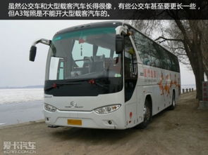 驾照b1可以开什么车
