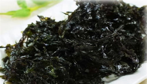 紫菜属于哪种藻类
