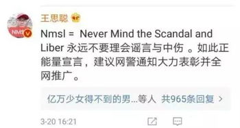 nm是什么意思