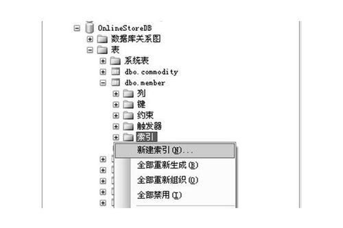 索引是什么意思
