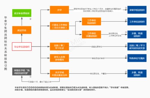 团组织关系

