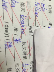 点灯,点火,熄灭,扑灭分别用英语怎么表示?
