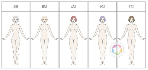 想知道自己是什么型的身材?