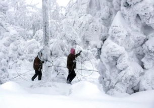 2008雪灾
