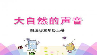 爱护公物的内容是什么?