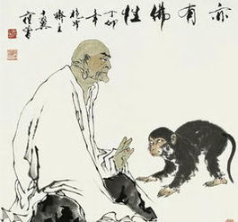 仿佛的佛
