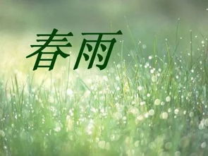 什么的春雨(填形容词) 什么的春雨填空