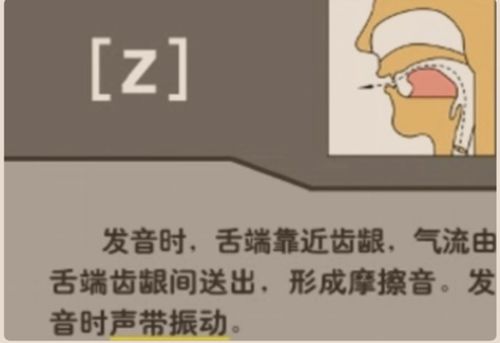 z正确发音是什么?