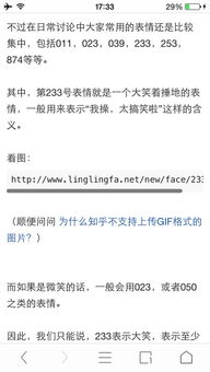233333是什么意思?