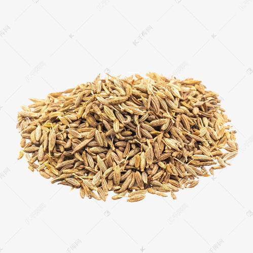 小茴香籽
