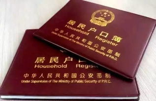 户籍类别怎么填写

