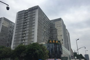 南城都汇汇尚园属于哪个社区
