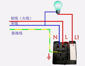 l是代表火线还是零线
