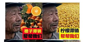 滞销是什么意思