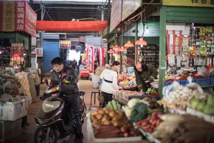 副食品批发市场

