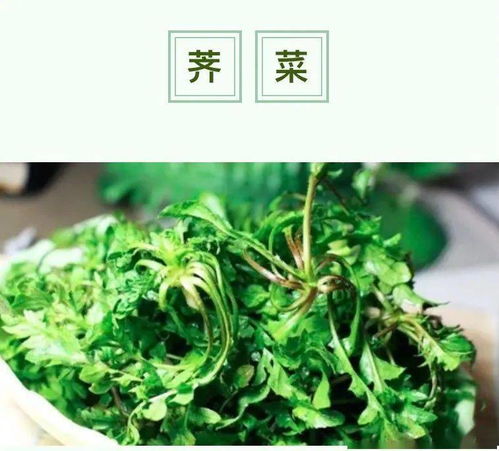 荠菜的吃法有几种
