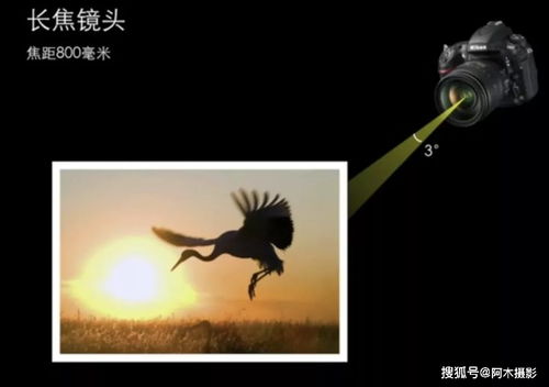 一什么画面
